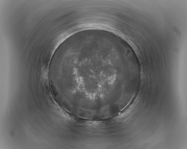 X0000111431529200907131212