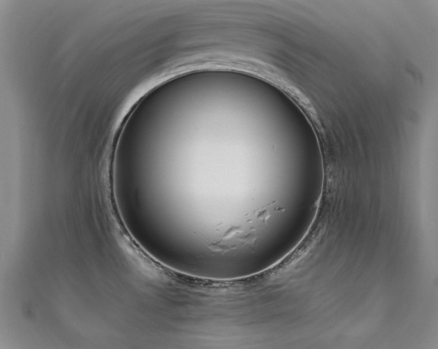 X0000111431530200907131212