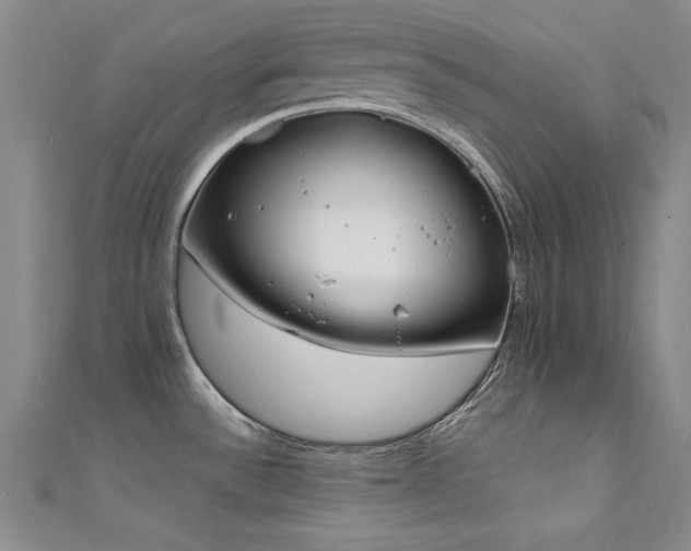 X0000111431532200907131212