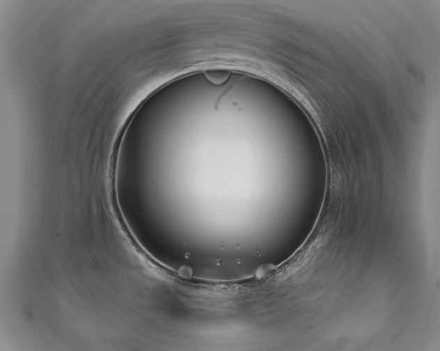 X0000111431533200907131212