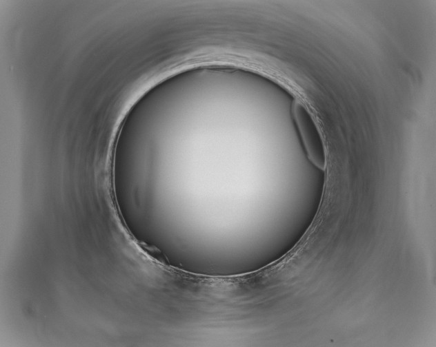 X0000111431536200907131212