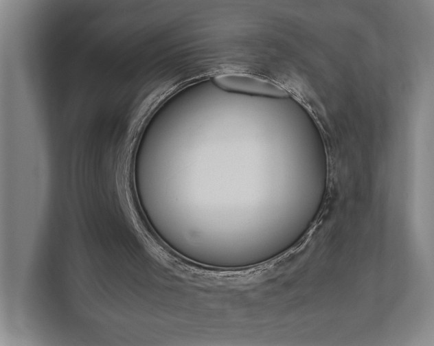 X0000111430001200907201118