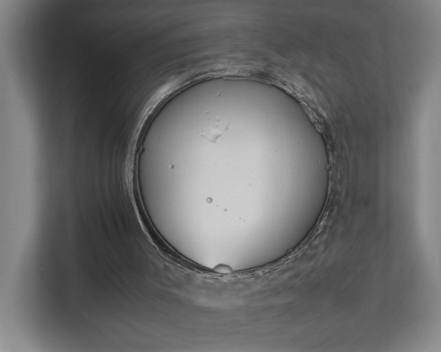 X0000111430003200907201118