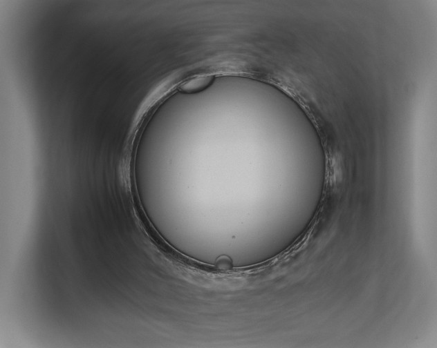 X0000111430004200907201118