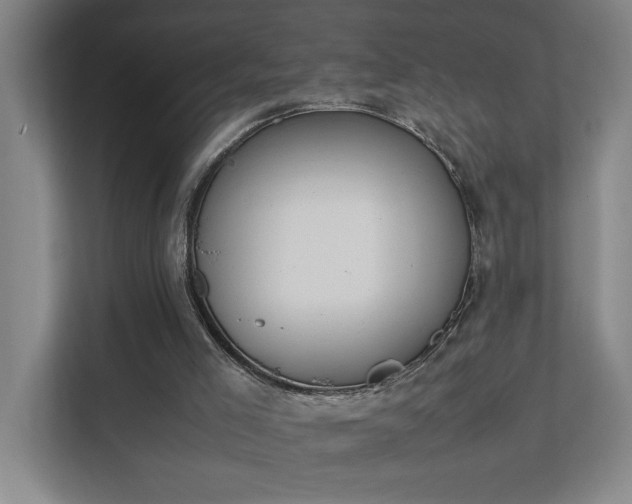 X0000111430005200907201118