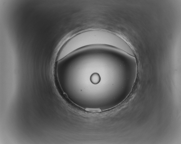 X0000111430007200907201118