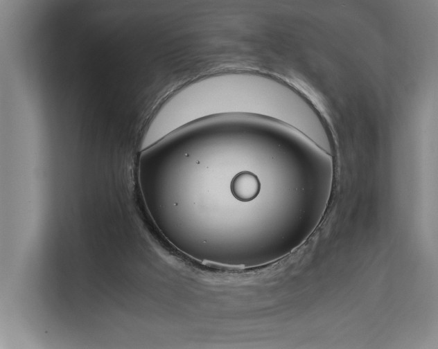 X0000111430009200907201118