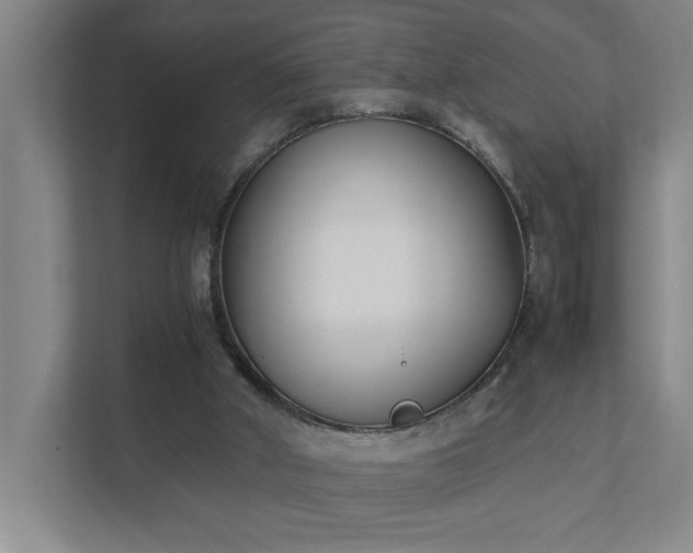 X0000111430010200907201118