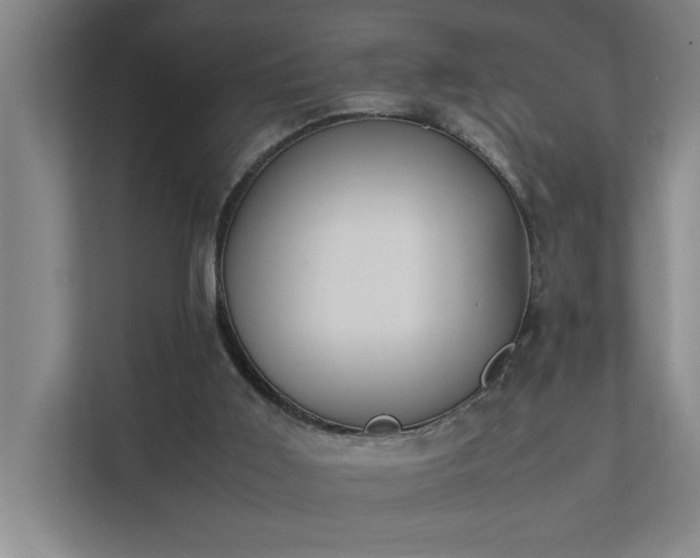 X0000111430011200907201118