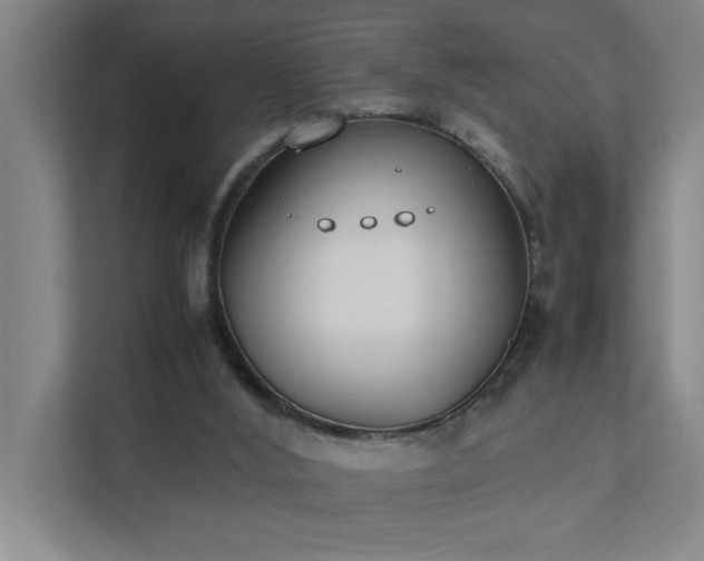 X0000111430012200907201118