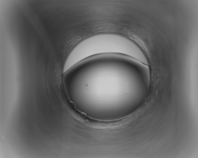 X0000111430017200907201118