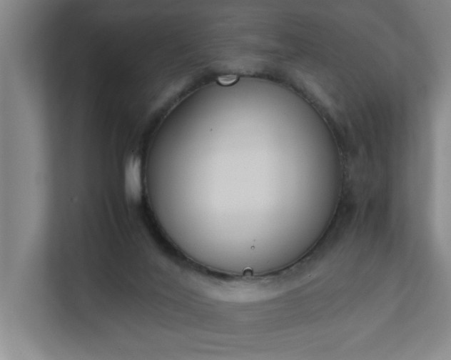 X0000111430020200907201117