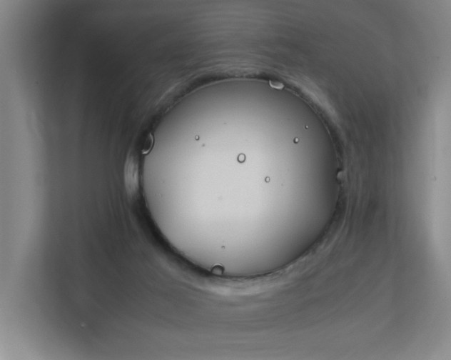 X0000111430021200907201117