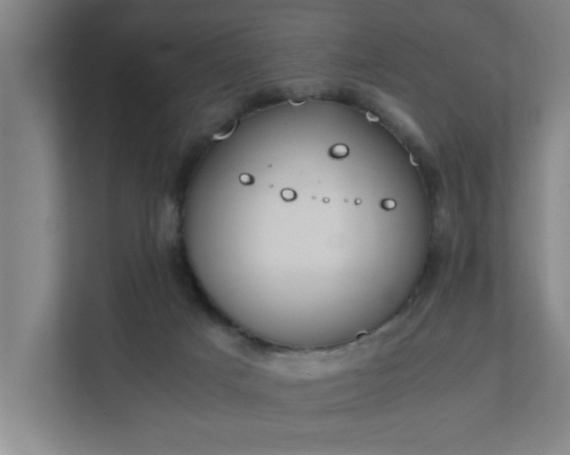 X0000111430025200907201117