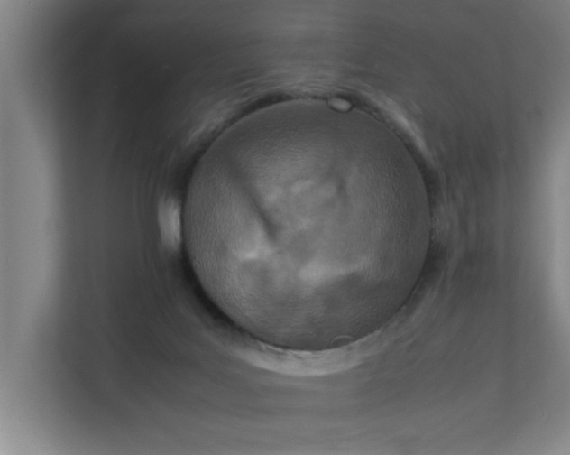 X0000111430027200907201117