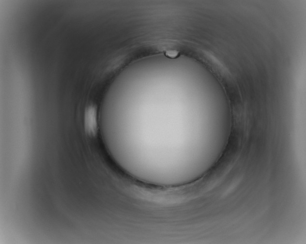 X0000111430028200907201117