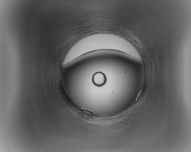 X0000111430029200907201117