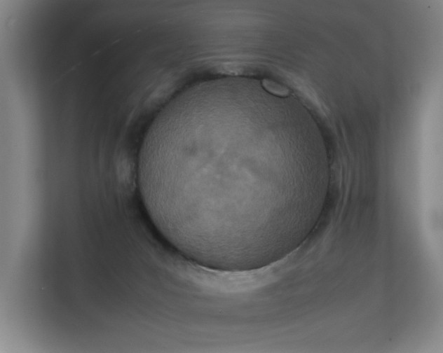 X0000111430031200907201117