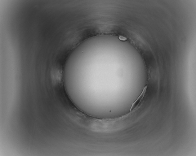 X0000111430033200907201117