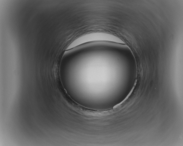 X0000111430036200907201117