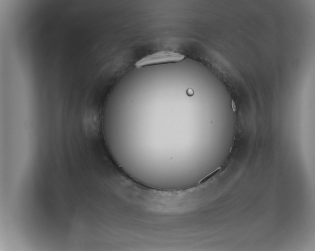 X0000111430037200907201117