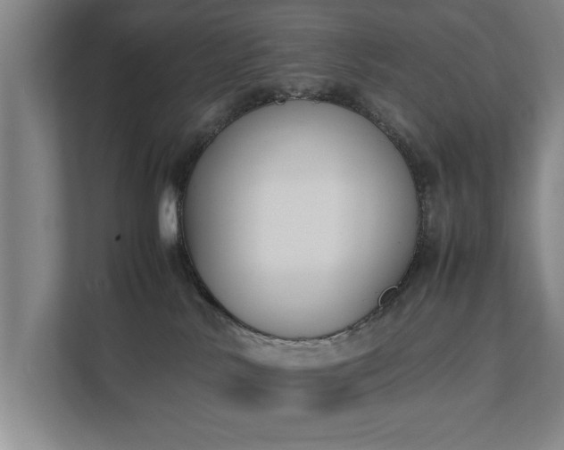 X0000111430042200907201117