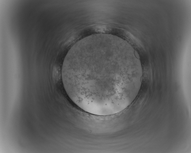 X0000111430043200907201117