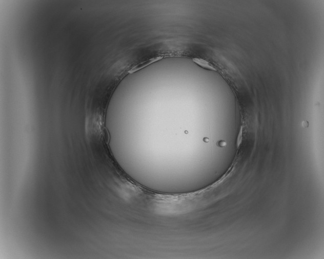 X0000111430045200907201117