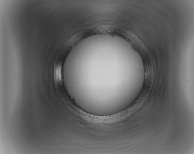 X0000111430046200907201117