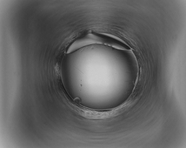 X0000111430048200907201117