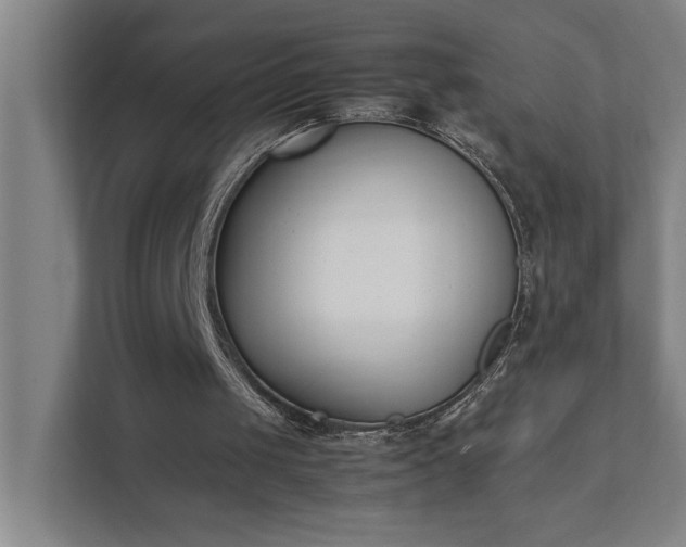 X0000111430049200907201116