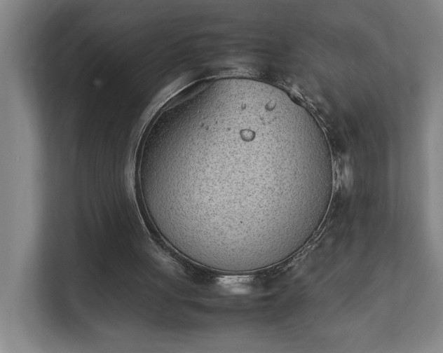 X0000111430051200907201116