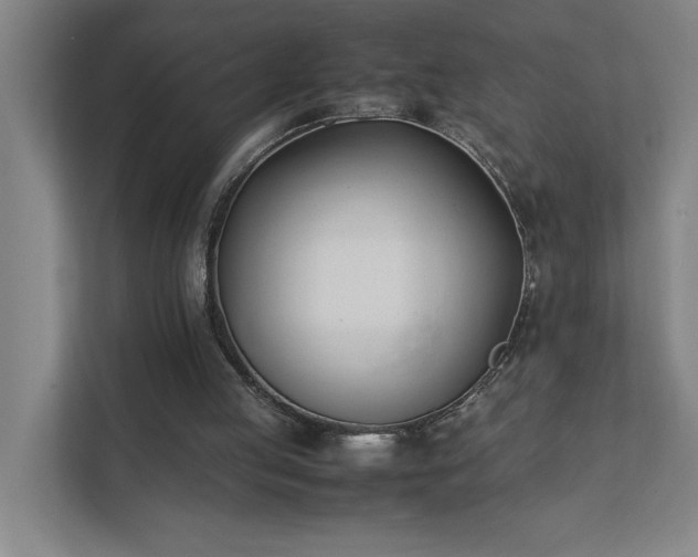 X0000111430053200907201117