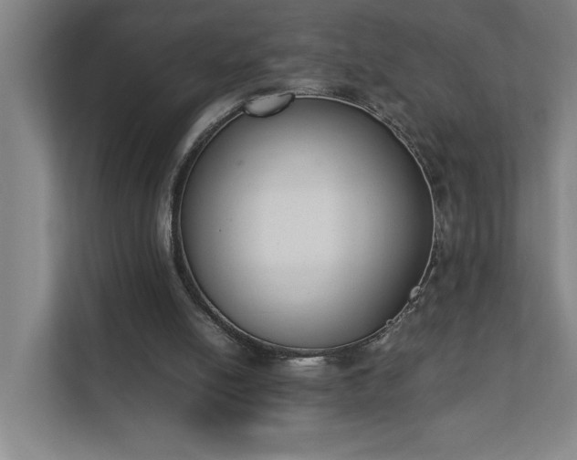 X0000111430054200907201117