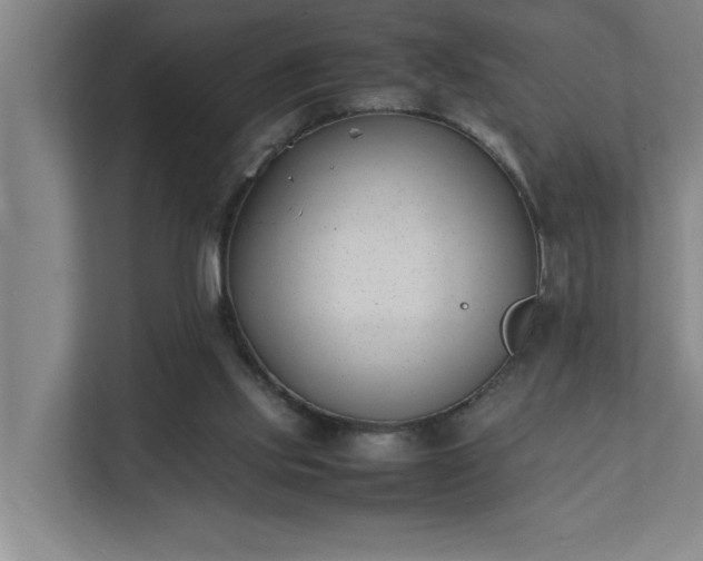 X0000111430061200907201117