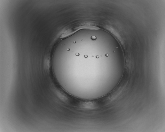 X0000111430063200907201117