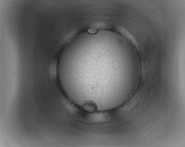 X0000111430065200907201117