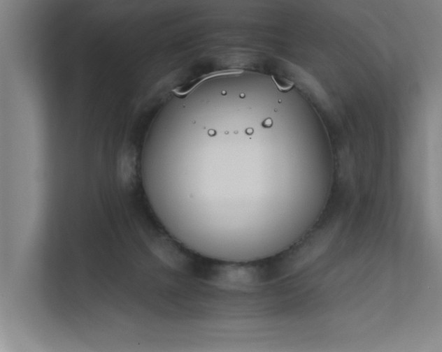 X0000111430073200907201117