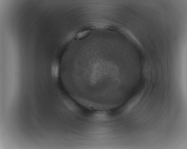 X0000111430076200907201117