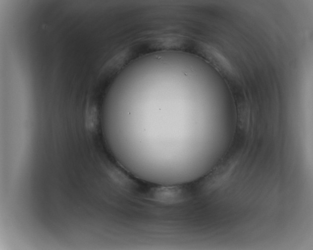 X0000111430077200907201117