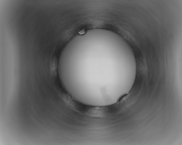 X0000111430082200907201117