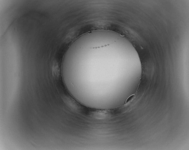 X0000111430086200907201117