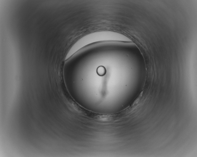 X0000111430088200907201117