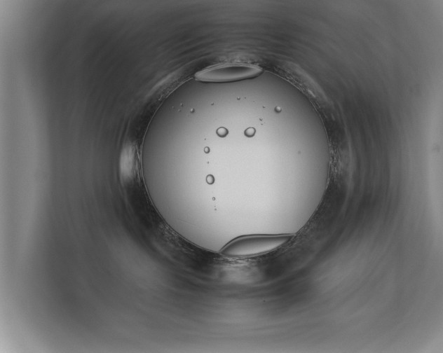 X0000111430095200907201117