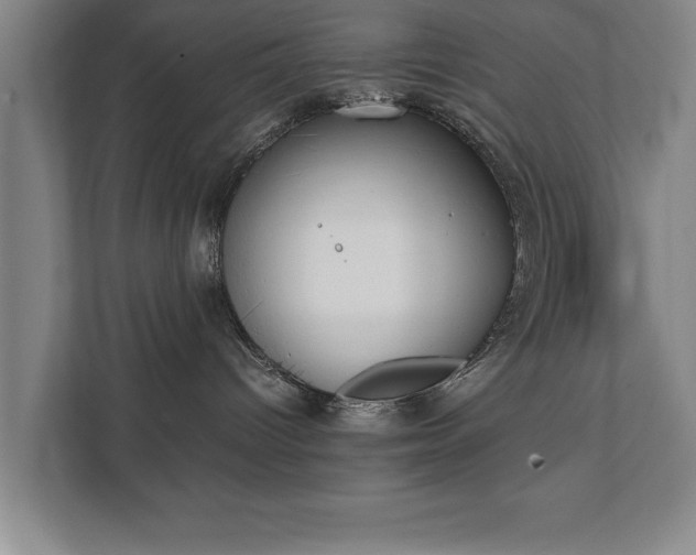 X0000111430096200907201117