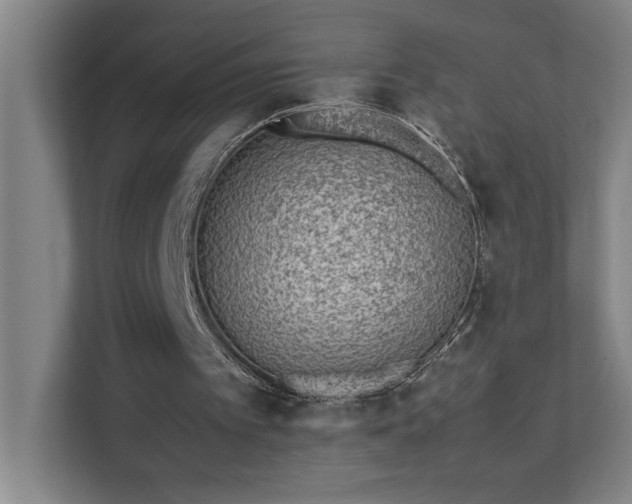 X0000111430097200907201116