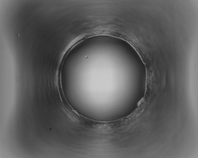 X0000111430100200907201116