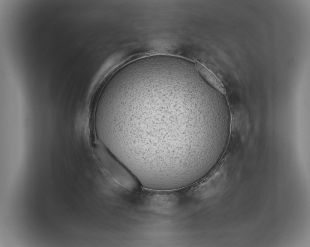 X0000111430101200907201116