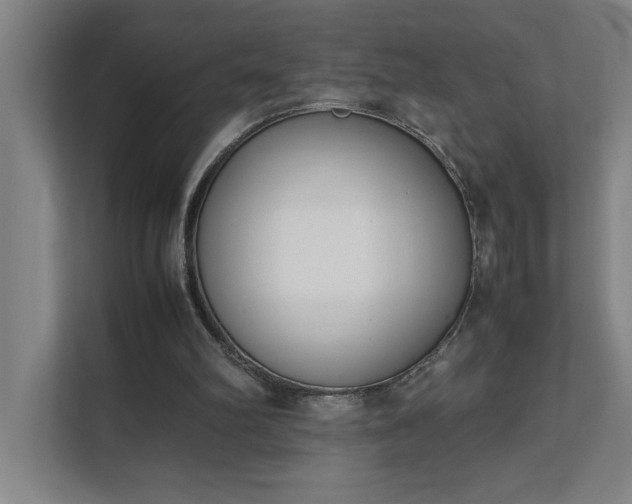 X0000111430102200907201116