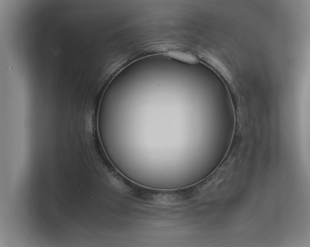 X0000111430105200907201116